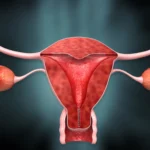 Top Gynaecologist in Faridabad - Dr Shweta Mendiratta